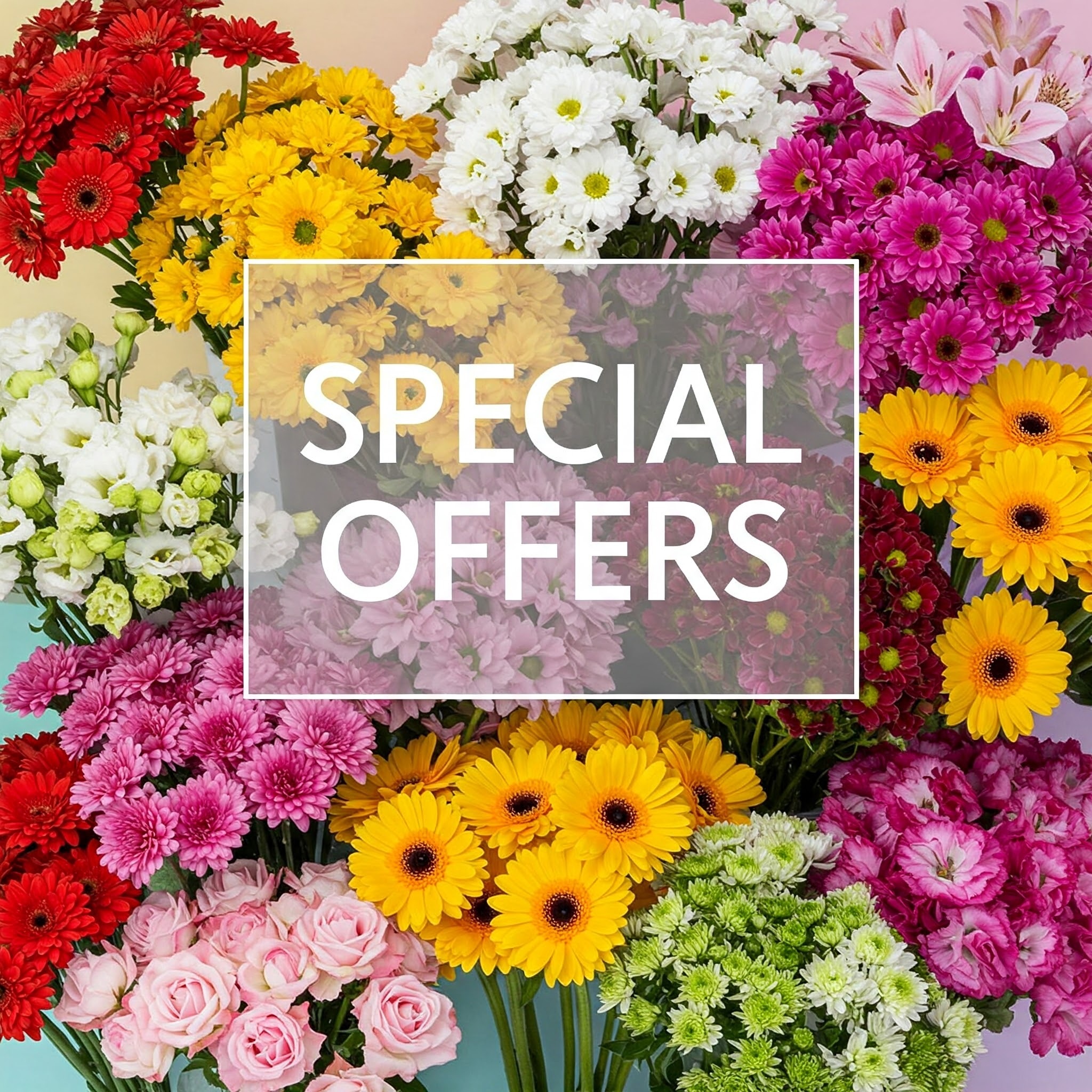 Special Offers